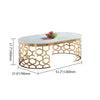 Denver Luxury Coffee Table in Rose Finish