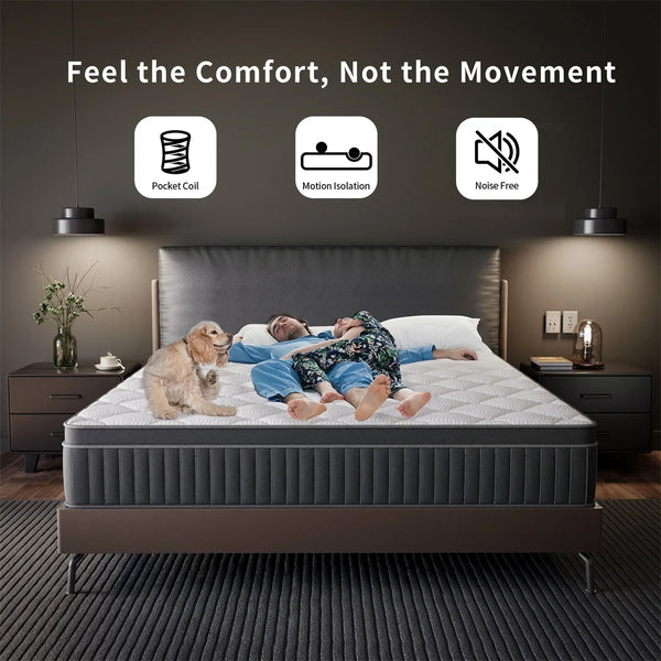 Coil Spring Mattress By Oak Inside - 8 Inches