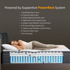 Coil Spring Mattress By Oak Inside - 8 Inches