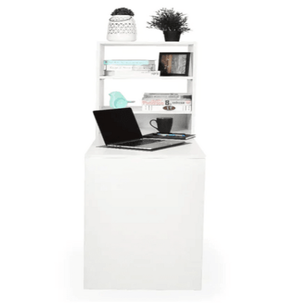 Dollar Study Table in White Colour - Oak Inside